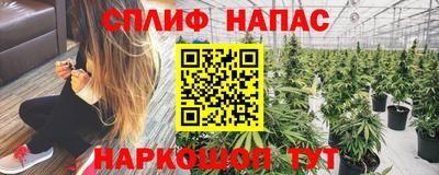 дживик Владикавказ