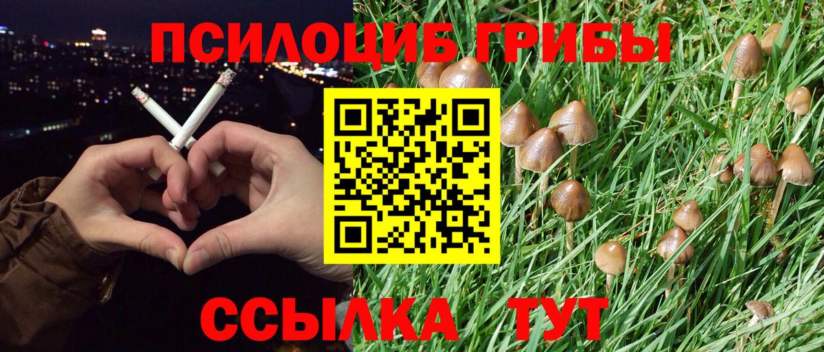 сколько стоит  Псилоцибиновые грибы Psilocybine cubensis  Вход с VPN  Псилоцибиновые грибы Psilocybine cubensis  Анапа 