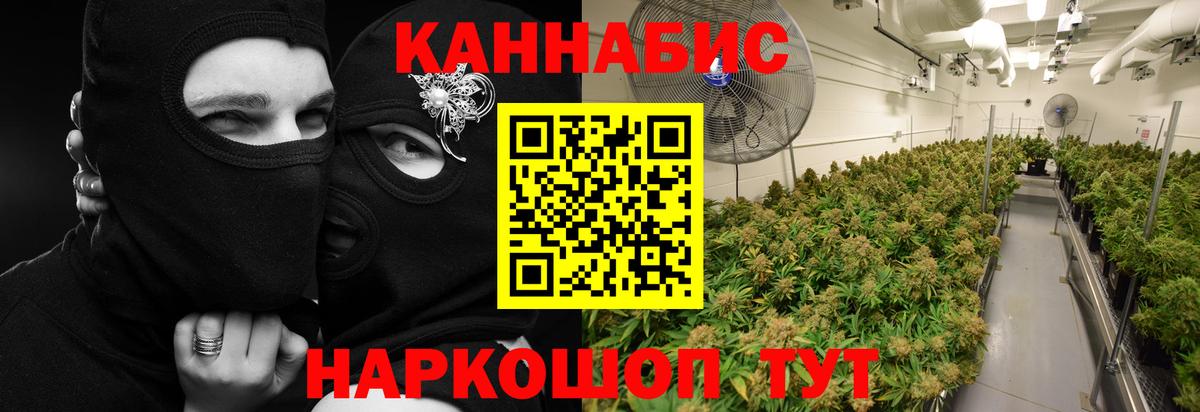 Каннабис семена  Вход с VPN  Марихуана MAZAR  Бошки марихуана Amnesia  Бошки Шишки семена  Анапа 